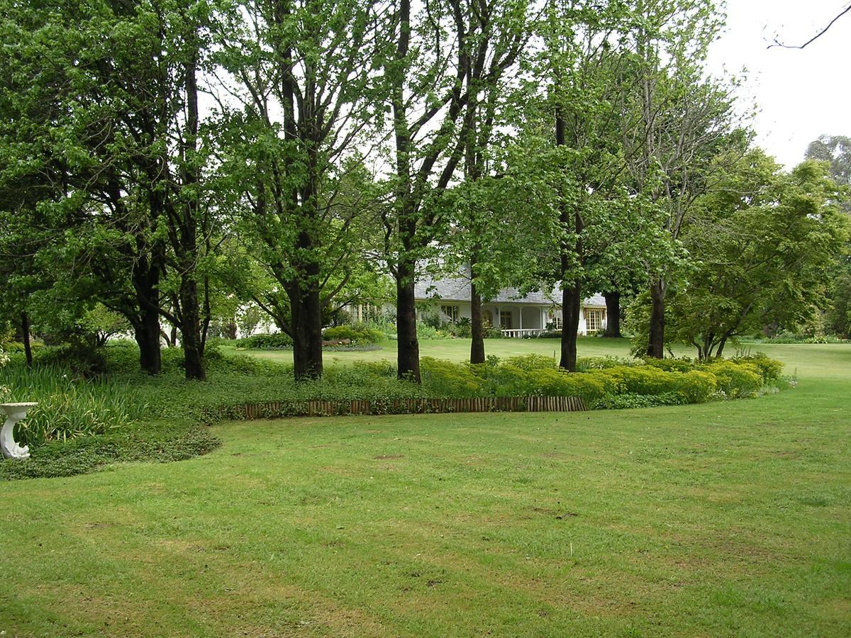 Cedar Garden Bed & Breakfast Underberg Eksteriør bilde